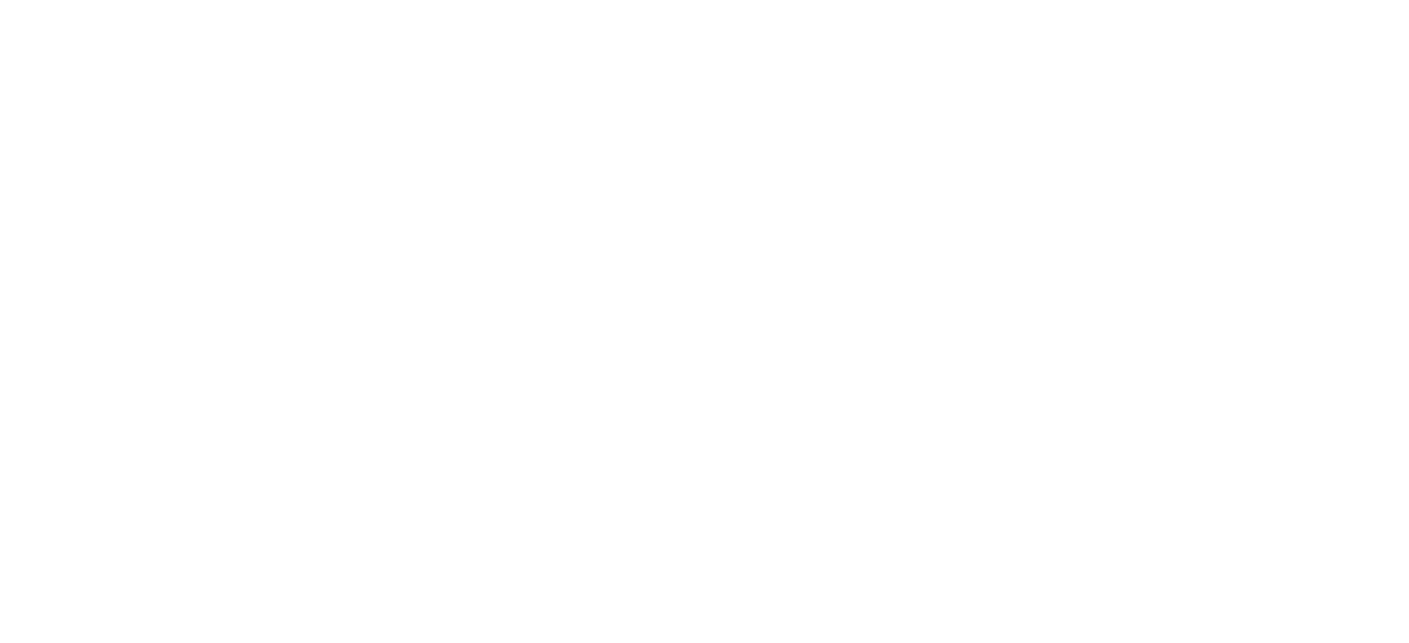 Logo Camoesdigital.pt